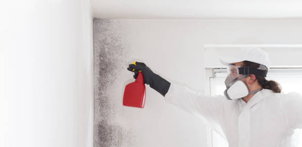 Best Bathroom Mold Remediation in Defiance, OH